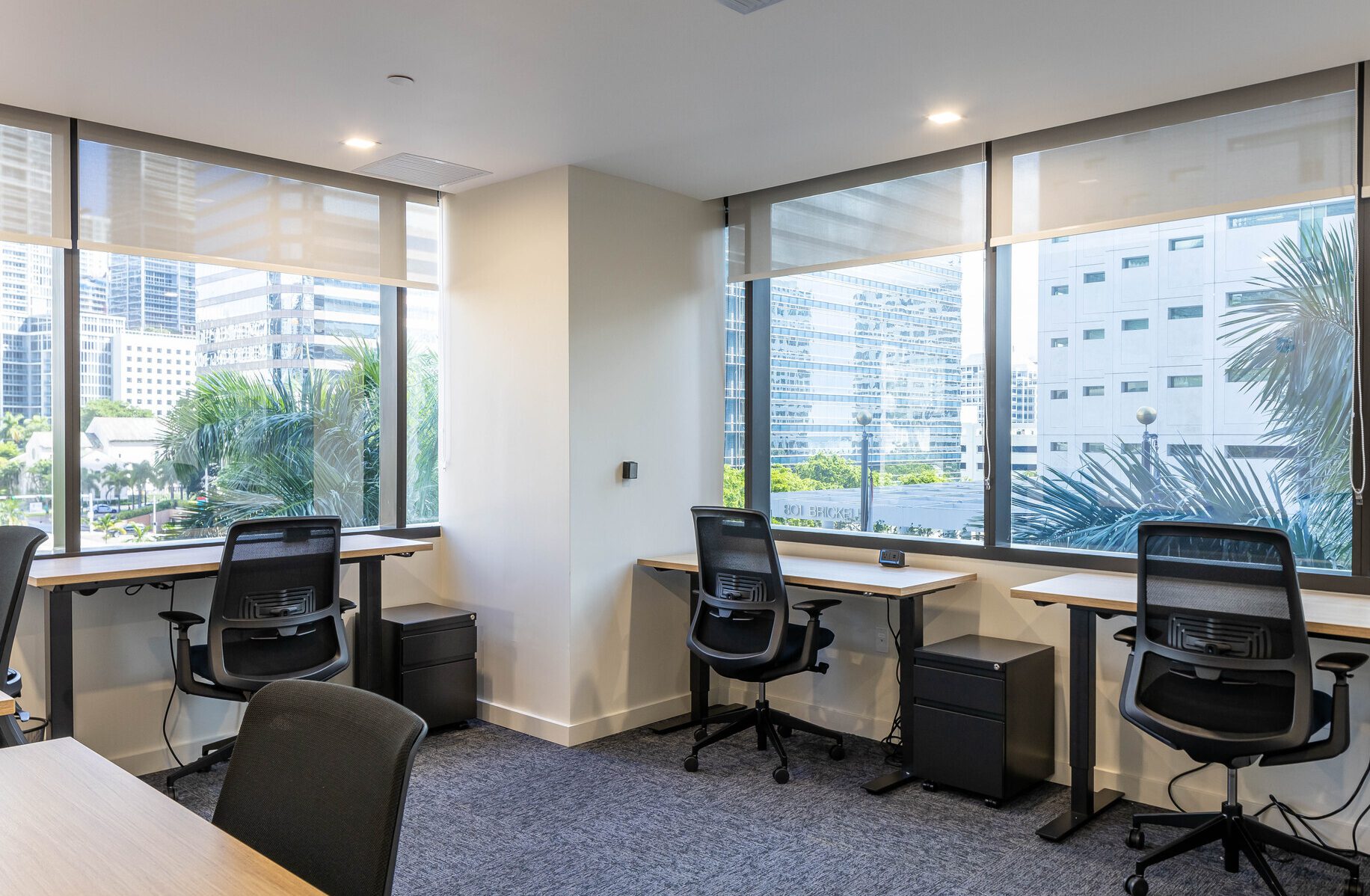 Coworking Space Flexible Executive Office